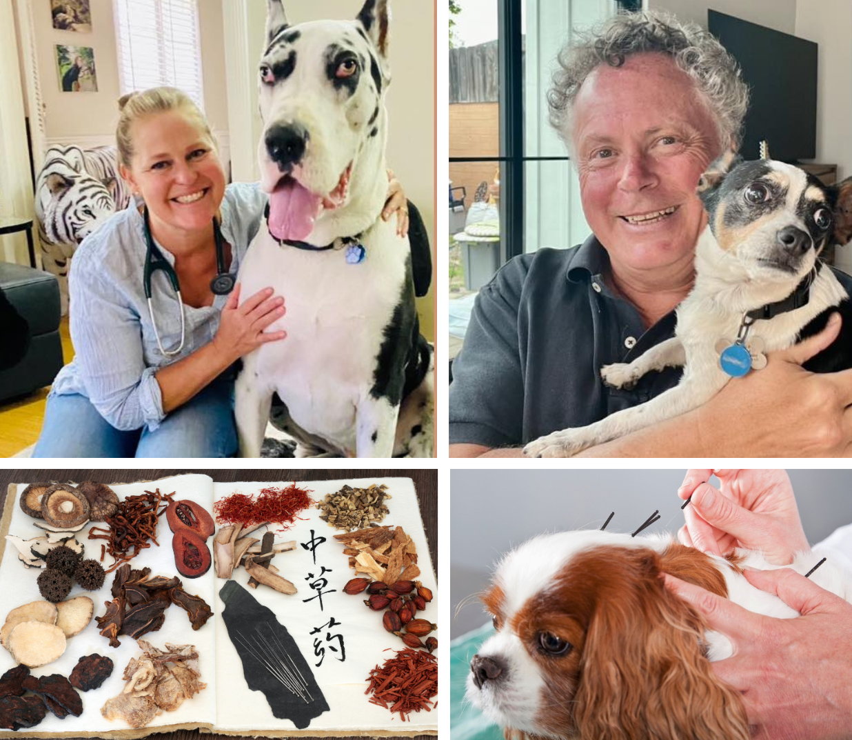 Drs Steve and Karen Marsden - Three Day Traditional Chinese Medicine and Acupuncture Seminar