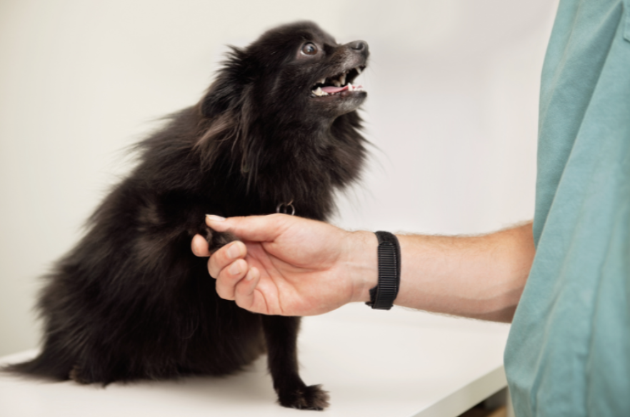 CHM for Musculoskeletal Disease: Getting Your Bearings in the  Non-Weight Bearing