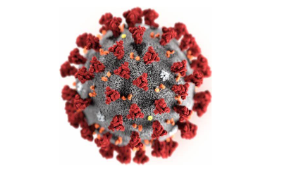 Coronaviruses & COVID-19