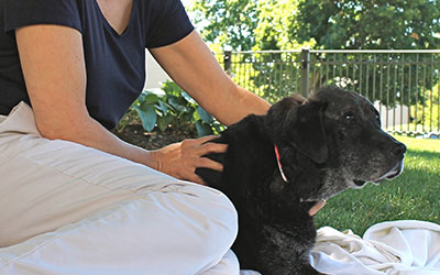 Energy Medicine: Underlying Science and Current Research