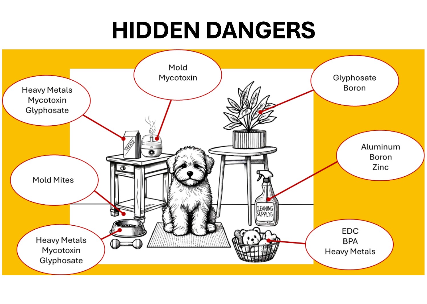 How Healthy and Safe Are Your Patient's Food, Water, Toys and Treats? 