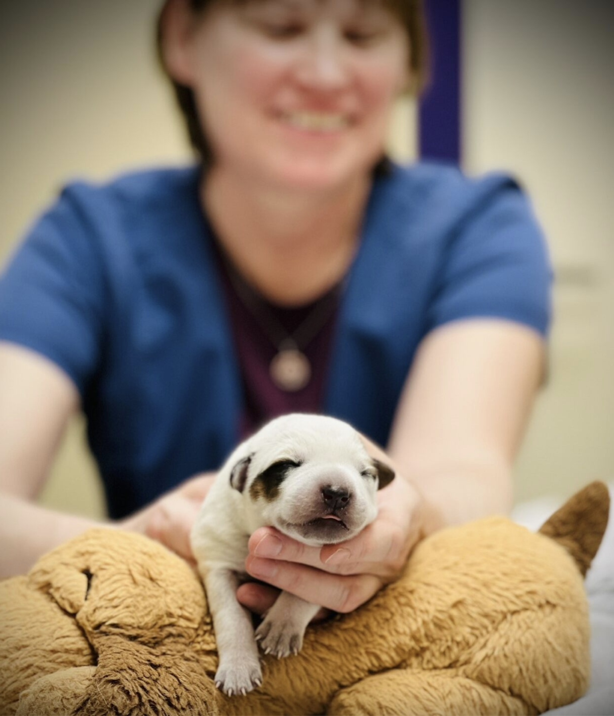 Introduction to Osteopathy