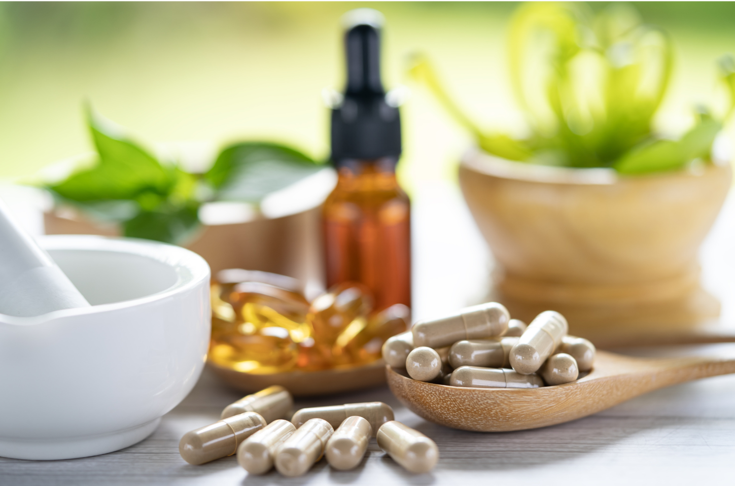 Introduction to Western Herbal Medicine 