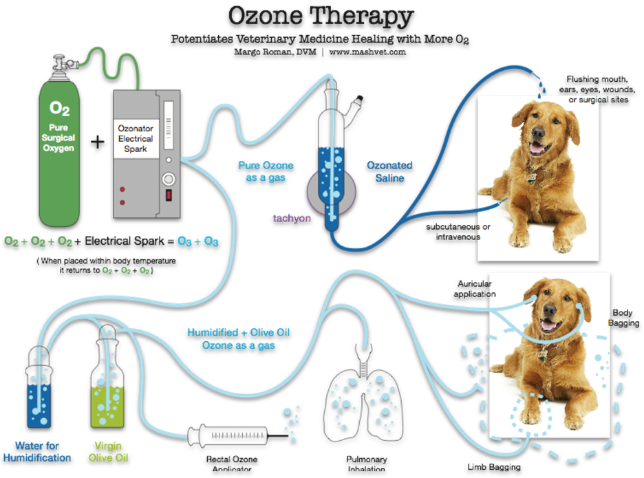 Ozone Therapy