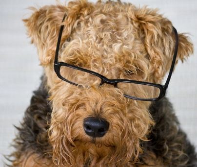 Progressive Retinal Atrophy: New Progress in a Hopeless Disease - Saving Vision in PRA Dogs by Saving Cones with Antioxidant Support