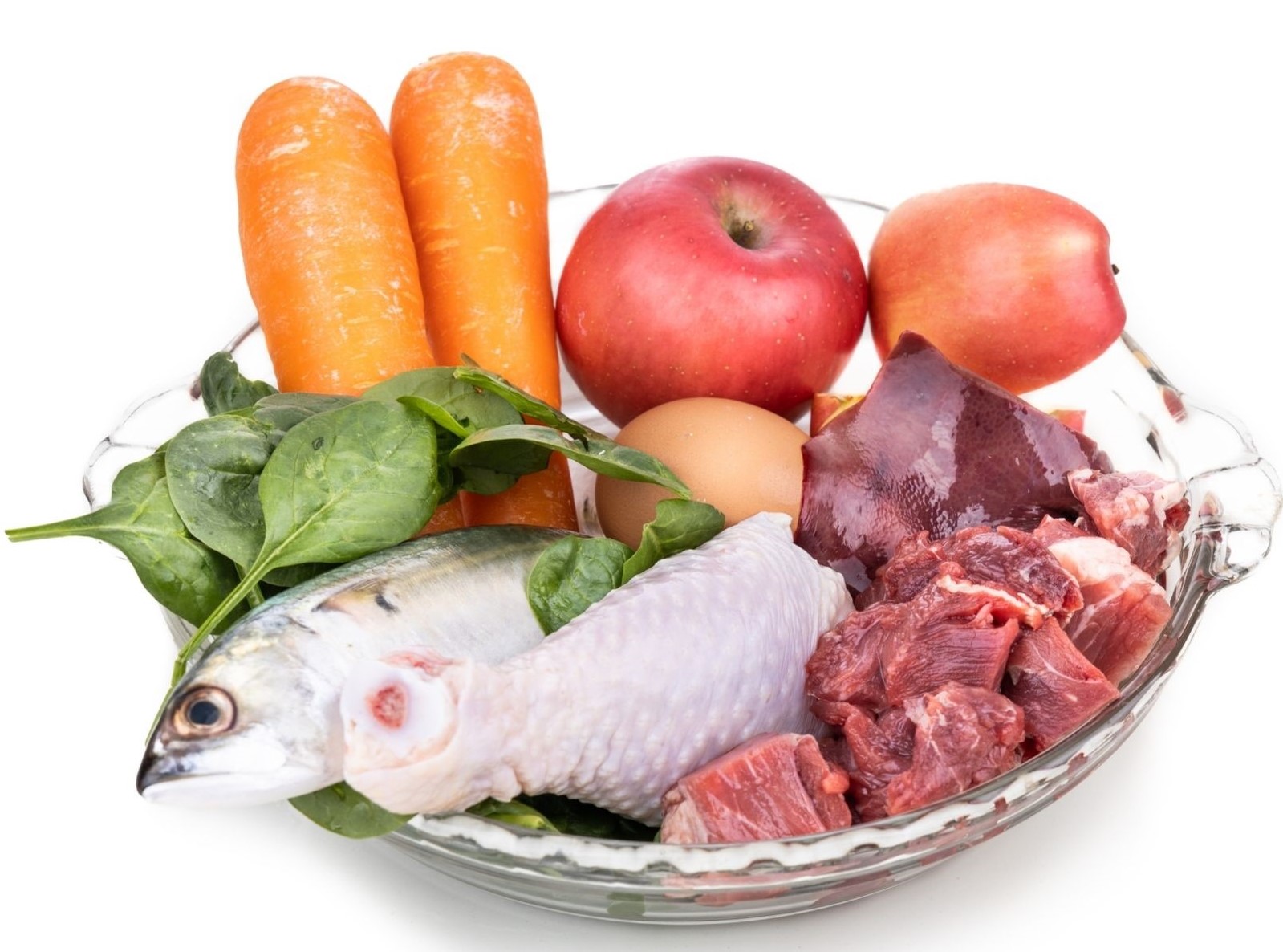 Raw Feeding Basics - What Do Veterinarians Around the World Think of Raw Food and Approach to Raw Feeding