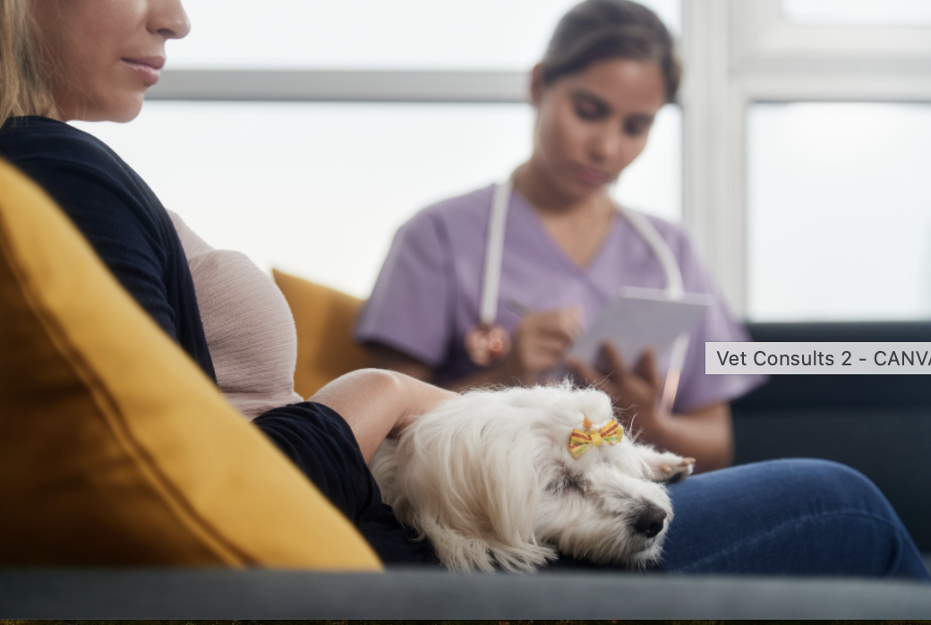 Reducing the Stress of the Neurologic Exam for Acupuncture and Related Therapies Patients (And Their Clinicians) 