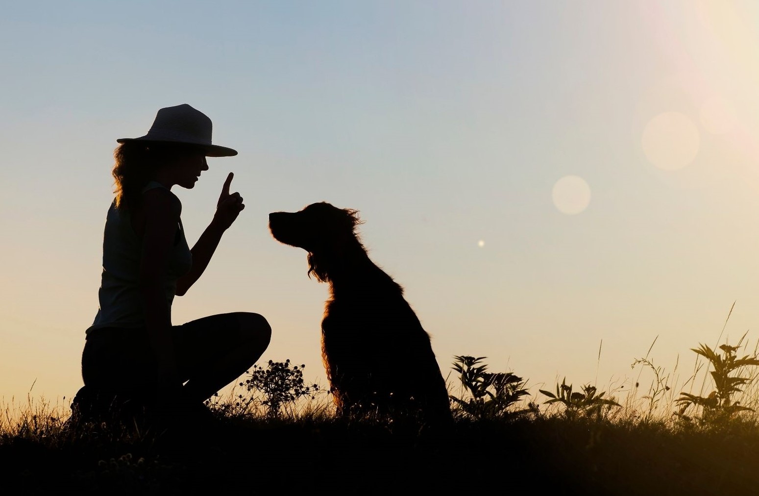 Sustainable Healthcare