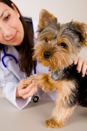 The Continuum of Disease and Healing