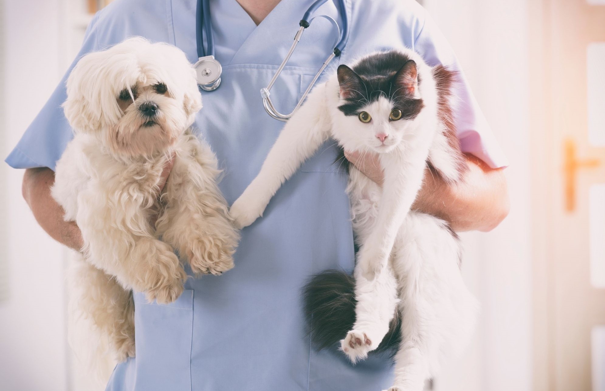  The New Era of Evidence-Based Medicine: Can We Survive It?