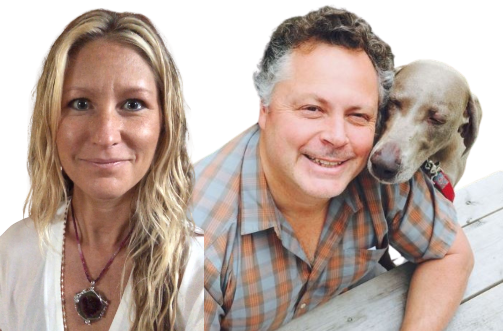 Treatment of Hemangiosarcoma